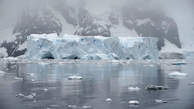 An iceberg floats in Andvord Bay, Antarctica. The Southern Ocean has been officially recognised by the National Geographic Society. Reuters