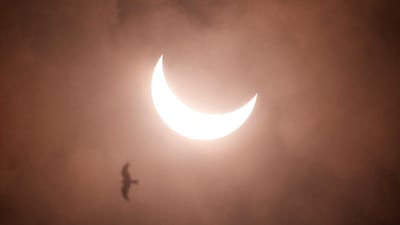 A partial solar eclipse is seen from Rajpath in New Delhi, India, June 21, 2020. Reuters