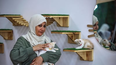 The entrance fee to Meow Cafe is priced at 5 Israeli shekels ($1.30) to spend half an hour snuggling with cats. AFP
