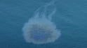 An oil slick has led to beaches in Umm Al Quwain being closed temporarily