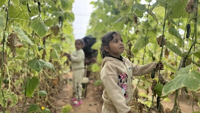 The Big Heart Foundation, which restores agricultural land for vulnerable communities, marks Earth Day 2026. Photo: Wam