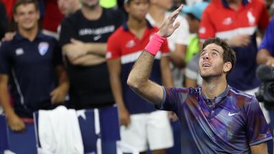 Juan Martin del Potro stands in Roger Federer's way of a spot in the US Open semi-finals. Geoff Burke-USA Today Sports