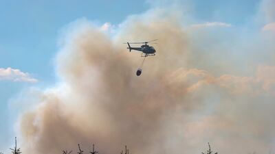 A wildfire near a wooded area in Scotland this month. Jeff J Mitchell / Getty Images