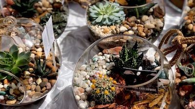 Arrangements made from succulents and cacti, as part of the Enable programme. Courtesy Melanie Hunt