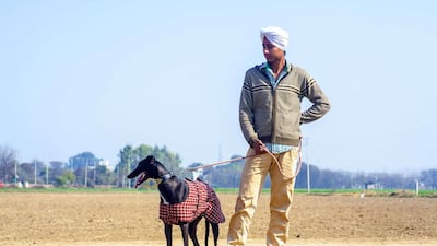 Gurpreet Singh, 15, from Gujjarwal, with his race dog Blackie waits for start of a dog race.