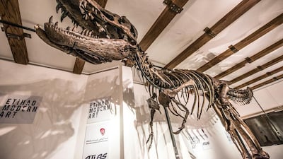 A handout photo of Tinker, the skeleton of a juvenile T-Rex is currently on display at the Etihad Modern Art Gallery in Abu Dhabi. (Courtesy: Etihad Modern Art Gallery)