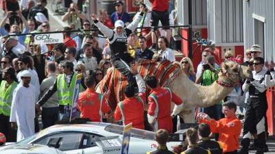 Claudia Hurtgen celebrates her win last year with a camel ride in the paddock.