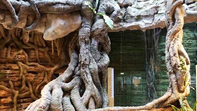 Entrance of the Indoor Green Planet Dubai at the City Walk area in Dubai.