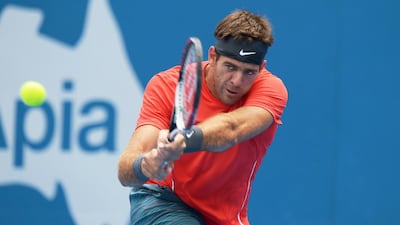 Juan Martin Del Potro defeated Radek Stepanek. AFP