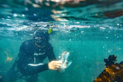 Plastic that isn't recycled ends up in the world's oceans. EPA-EFE / Nic Bothma