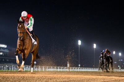 North America romped to victory in the Maktoum Challenge Round 1 at Meydan in January. Erika Rasmussen for The National