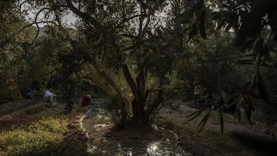 The family of 55-year-old Egyptian farmer Makhluf Abu Kassem, sit on his land as he plows and works. AP