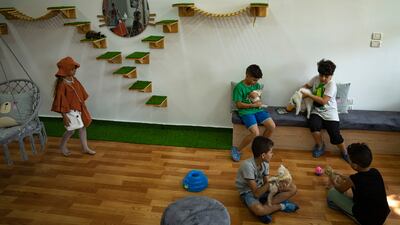 The cafe offers a unique space for relaxation and positive human-animal interaction. AP