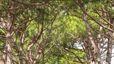 Founded by a local family in 1960, this back-to-nature spot now attracts a new generation of clients. Photo: John Brunton