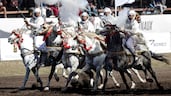 Riders fire their rifles on horseback at a traditional equestrian show in Bouznika, Morocco. AFP