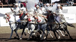Men dressed in traditional attire ride horses and fire their rifles during a Tbourida, or Fantasia, equestrian performance in the city of Bouznika on May 13, 2026. (Photo by Abdel Majid BZIOUAT / AFP)