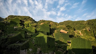 Abandoned village houses covered with overgrown vegetation in Houtouwan on Shengshan island, China's eastern Zhejiang province.