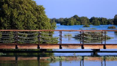 Social distancing is conciously adhered to during the tour at Jubail Mangrove Park, Jubail Island, Abu Dhabi. Victor Besa/The National