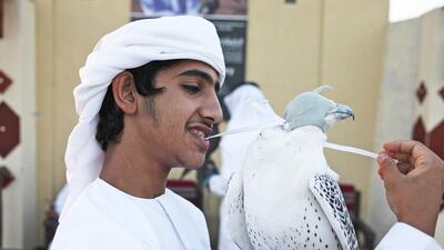 Rashed Al Hammadi, 15, has been practising falconry since he was 6. He was one of many Emirati youths in Al Wathba last night for the Sheikh Zayed Heritage Festival. Lee Hoagland / The National
