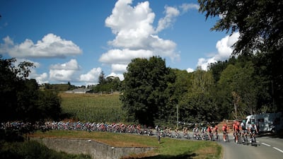 The peloton during Stage 12. Reuters
