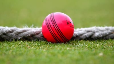 Not all the international cricket teams are sold on the idea of using the pink ball in Test matches. Tom Shaw / Getty Images