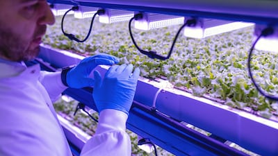 Vertical farms, the switch to plant-based diets and the production of meat causing as few emissions as possible are all crucial in the fight against climate change. Bloomberg