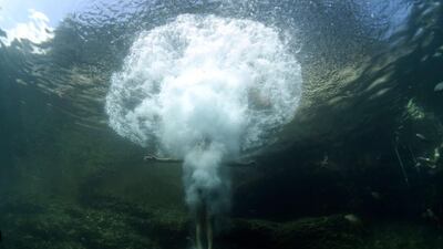 A young boy dives in a creek near the Italian city of Portofino. Olivier Morin / AFP
