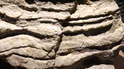 The Faya palaeolandscape features a chain of limestone outcrops called jebels stretching 20 kilometres, formed more than 90 million years ago