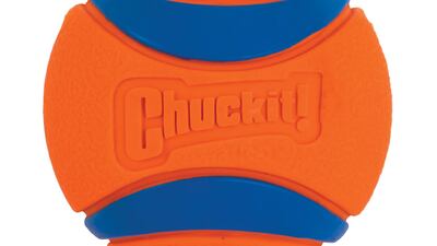 Chuckit! Ultra Ball (medium), Dh33.5, aceuae.com. Photo: Chuckit!