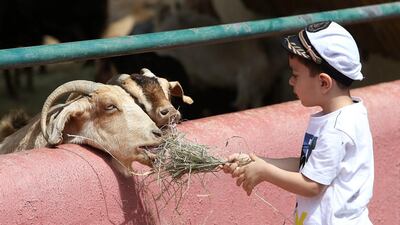 Pawan Singh / The National