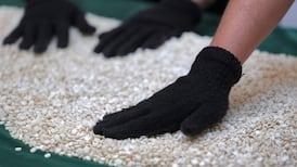 Seized Captagon pills. AFP