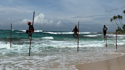 These fishermen who fish from stilts in Sri Lanka's southern province of Galle are known for their patience and endurance. All photos: Taniya Dutta / The National