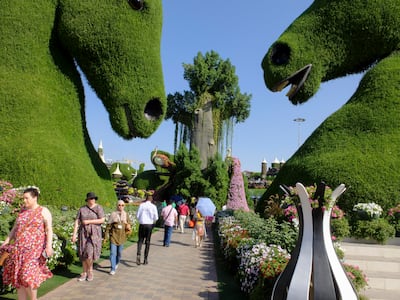 Dubai Miracle Garden features more than 150 million flowers. Antonie Robertson / The National