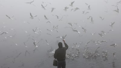 A man feeds birds on the banks of the Yamuna River in New Delhi. Reuters