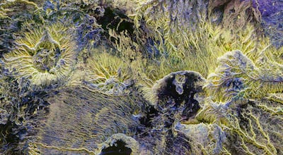 Desert structures in Chad pictured by ESA's Biomass satellite. Photo: ESA