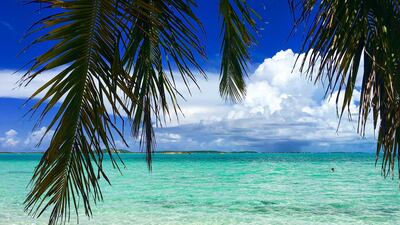 Airbnb is sending five people to the Bahamas for a two-month, all-expenses-paid experience