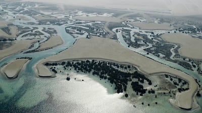 Environment Agency Abu Dhabi has made climate change a high priority in its five-year strategic plan to save mangroves and coral reefs. Sarah Dea / The National