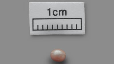 The oldest natural pearl in the world. Courtesy Department of Culture and Tourism Abu Dhabi