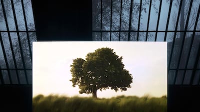 A scene from Amar Kanwar’s ‘The Scene of Crime’ (2011), which details natural landscapes on the brink of disappearing. Jens Ziehe