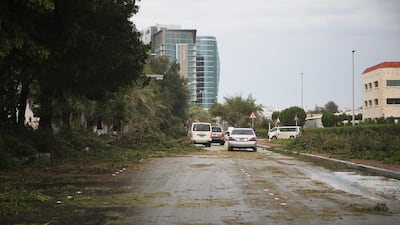 Trees uprooted on 29th Street in Abu Dhabi. Ravindranath K / The National