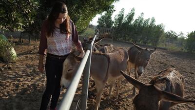 These donkeys at the Bahya sancutary were found wondering and were rescued. They now have a safe haven and home at the sanctuary farm with Stephanie Damm. Delores Johnson / The National