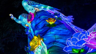 Glowing peacocks at Dubai Garden Glow