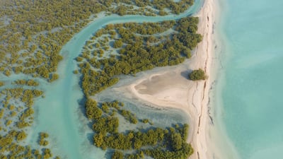 Sir Bani Yas Island is a protected nature reserve with desert dunes and natural mangroves, surrounded by the Arabian Gulf.