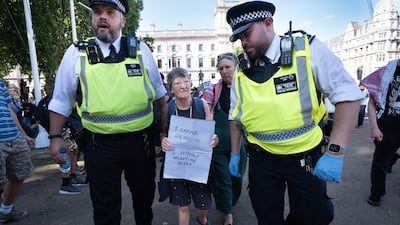 A supporter of Palestine Action is detained by police. PA