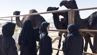 A group of women take photos of the camels at the Al Dhafra Festival.