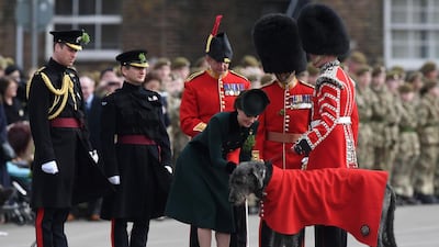 Britain’s Prince William, duke of Cambridge, left, watches his wife, Catherine, the duchess of Cambridge, attach a shamrock on wolfhound Domhnall, the regimental mascot of the Irish Guards, during a St Patrick’s Day parade visit to Cavalry Barracks in Hounslow, west London on March 17, 2017. Justin Tallis / Agence France-Presse