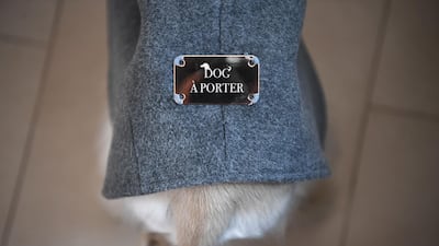 Giovanna Temellini from fashion house Temellini Milano, designed a line of clothing Dog-à-Porter dedicated to dogs. AFP