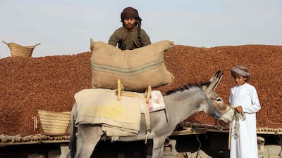 An Omani carries a bag of dried mabsali dates in Bidiyya, 220km east of the capital, Muscat. AFP
