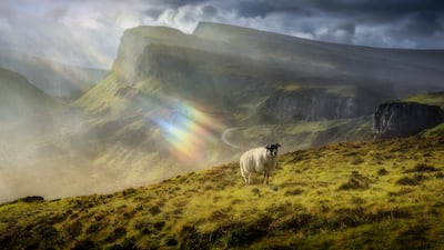Calvin Downes captured a rainbow of colours shining directly onto a sheep on the Isle of Skye in October 2019.