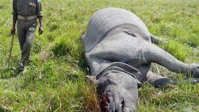Heavily-armed poachers fired at the rhino inside Assam state's Kaziranga National Park and its horn was gouged out, just a day after another giant pachyderm was killed.